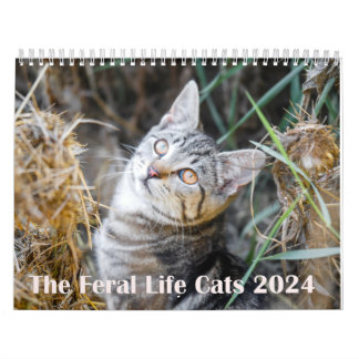 2024フェラルライフ2024美しい天然猫 カレンダー