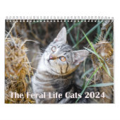 2024フェラルライフ2024美しい天然猫 カレンダー (カバー)
