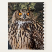 2024フクロウ プランナー手帳 (裏面)