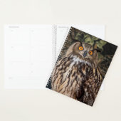 2024フクロウ プランナー手帳 (ディスプレー)