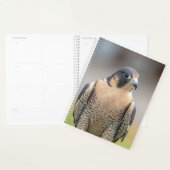 2024ペレグリン《鳥》ハヤブサ プランナー手帳 (ディスプレー)