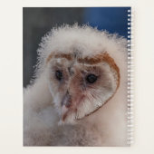 2024ヤングバーンフクロウ プランナー手帳 (裏面)