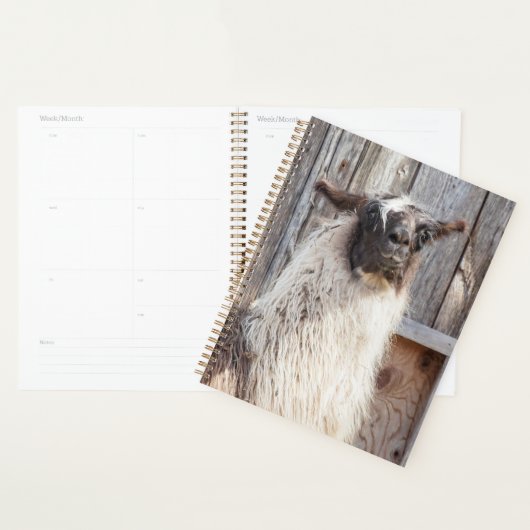 2024ラマ農場 プランナー手帳 (ディスプレー)