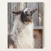 2024ラマ農場 プランナー手帳 (裏面)