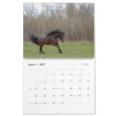 2024写真ウマ科のカレンダー カレンダー (3月 2027)