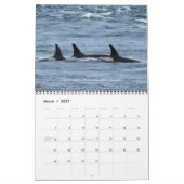 2024南のレジデント・キラー・ホエールカレンダー カレンダー (3月 2027)