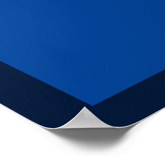 2024年に黒人のように青く投票する ポスター (角)