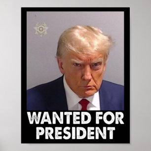 2024年の大統領おもしろいに向けたトランプのショット ポスター