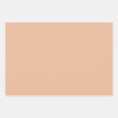 2024年の色 | Peach ラッピングペーパーシート (正面2)