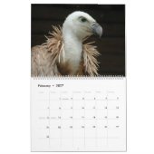 2024年の鳥類 カレンダー (2月 2027)