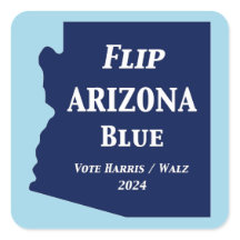 2024年のFlip Arizona Blue