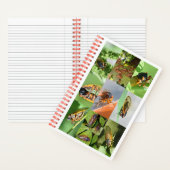 2024年のMagicicada Cicada Notebook ノートブック (内側)