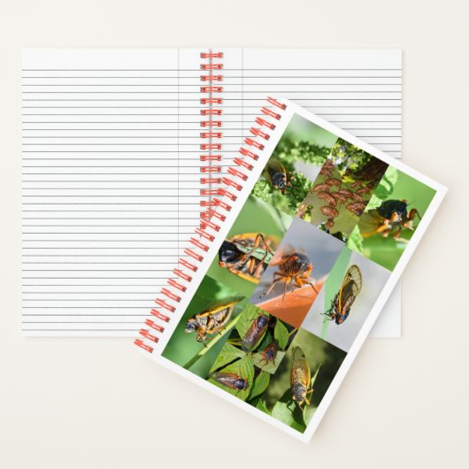 2024年のMagicicada Cicada Notebook ノートブック (内側)