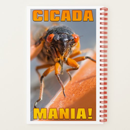 2024年のMagicicada Cicada Notebook ノートブック (裏面)