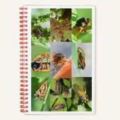 2024年のMagicicada Cicada Notebook ノートブック (正面)