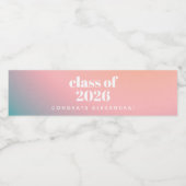 2024年クラストレンディーカラフル勾配カスタム法 ペットボトルラベル (シングルラベル)