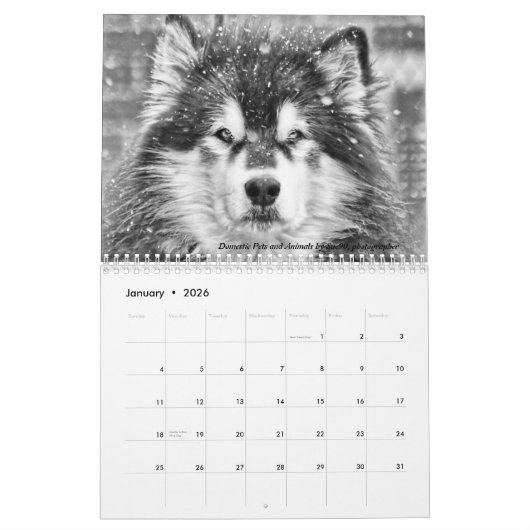 2024年デイブさんのガーデンフォトコンテストのカレンダー カレンダー (1月 2026)