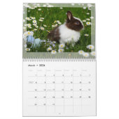 2024年フォトカレンダー：毛皮のベビー、ペット、猫、犬 カレンダー (3月 2026)