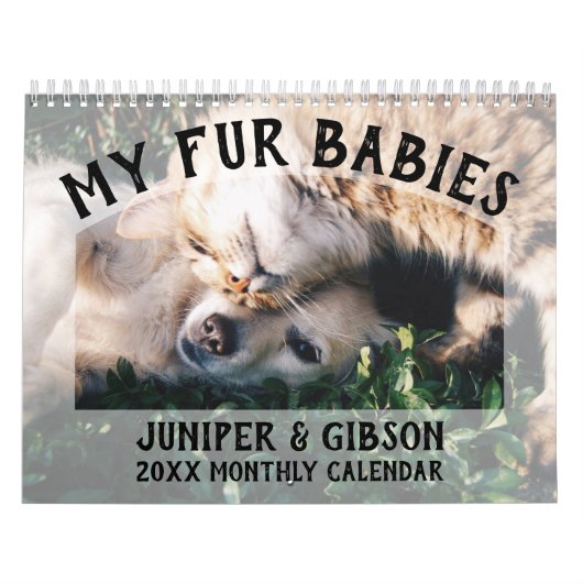 2024年フォトカレンダー：毛皮のベビー、ペット、猫、犬 カレンダー (カバー)