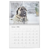 2024年フォトカレンダー：毛皮のベビー、ペット、猫、犬 カレンダー (1月 2026)