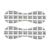 2024年上級クラス 野球ボール (パネル)