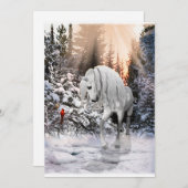 2024年冬のワンダーホース シーズンカード (正面/裏面)