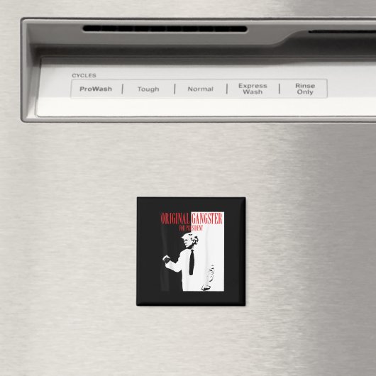 2024年大統領用ドナルド・トランプオリジナルGan マグネット (インサイチュ (食洗機))