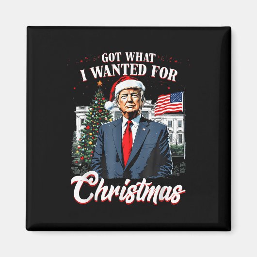 2024得年のクリスマストランプに欲しかった物 マグネット (正面)