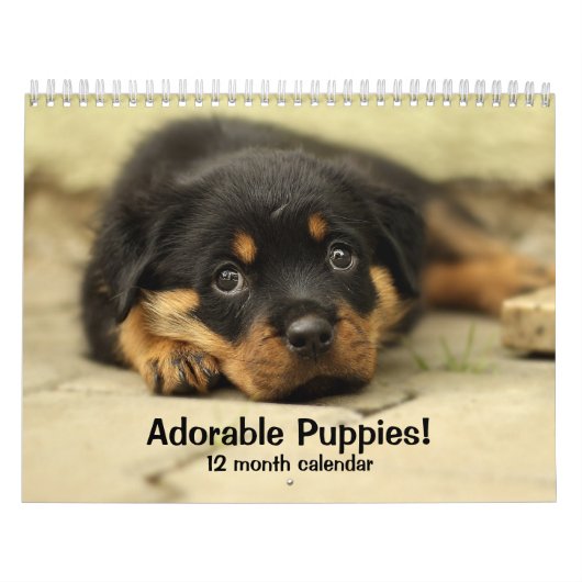 2024愛らしい子犬12ヶ月の犬 カレンダー (カバー)