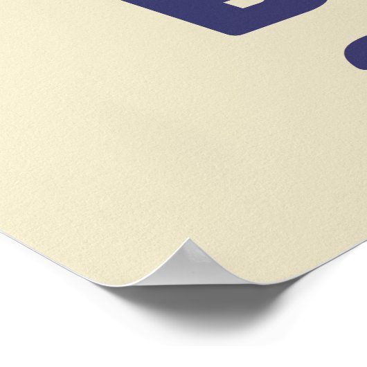 2024救年の選挙で民主的な投票が行われた ポスター (角)