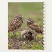 2024穴掘りフクロウプランナー プランナー手帳 (裏面)