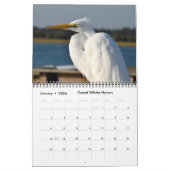 2024自然画像カレンダー カレンダー (1月 2026)