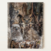 2024角素晴らしフクロウ プランナー手帳 (裏面)