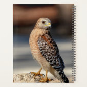 2024赤い猫背のタカ プランナー手帳 (裏面)