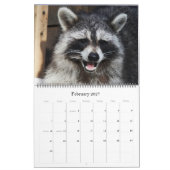 2024野生の青のアライグマの野生動物の救助 カレンダー (2月 2027)