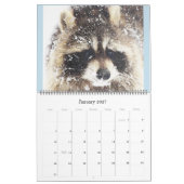 2024野生の青のアライグマの野生動物の救助 カレンダー (1月 2027)