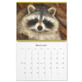2024野生の青のアライグマの野生動物の救助 カレンダー (3月 2027)