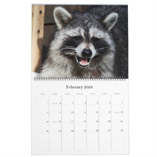 2024野生の青のアライグマの野生動物の救助 カレンダー (2月 2026)