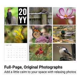 2024野生動物写真カレンダー カレンダー