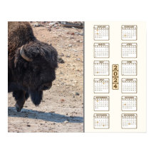 2024 - "バッファロー"