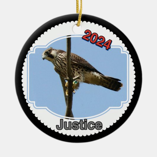 2024 Ceramic Circle Ornament Justice セラミックオーナメント (正面)
