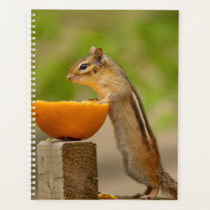 2024 Chipmunk in the Adirondacks プランナー手帳