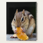 2024 Chipmunk in the Adirondacks プランナー手帳 (裏面)