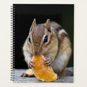 2024 Chipmunk in the Adirondacks プランナー手帳