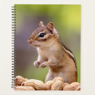 2024 Chipmunk in the Adirondacks プランナー手帳