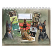 2024 DTカレンダー カレンダー (カバー)