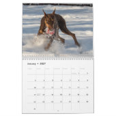 2024 DTカレンダー カレンダー (1月 2027)