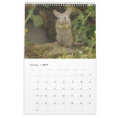 2024 George the mouse calendar 24 カレンダー (1月 2027)