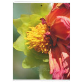 2024 JW year text Psalm 56:3  クリップボード (裏面)