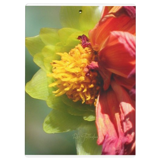 2024 JW year text Psalm 56:3  クリップボード (裏面)